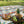 Harmony Picnic Mat