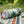 Harmony Picnic Mat