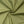 Jungle Lightweight Tactical Tarp